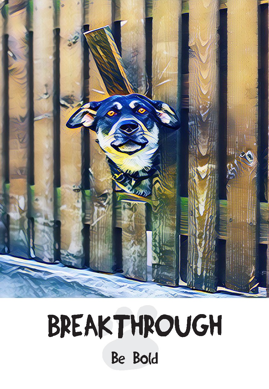 Breakthrough: Be Bold