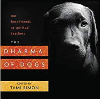 The Dharma of Dogs - A Review