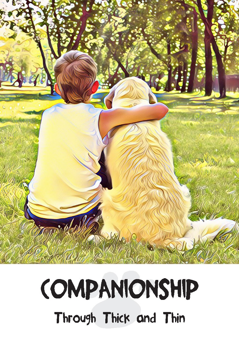 Companionship