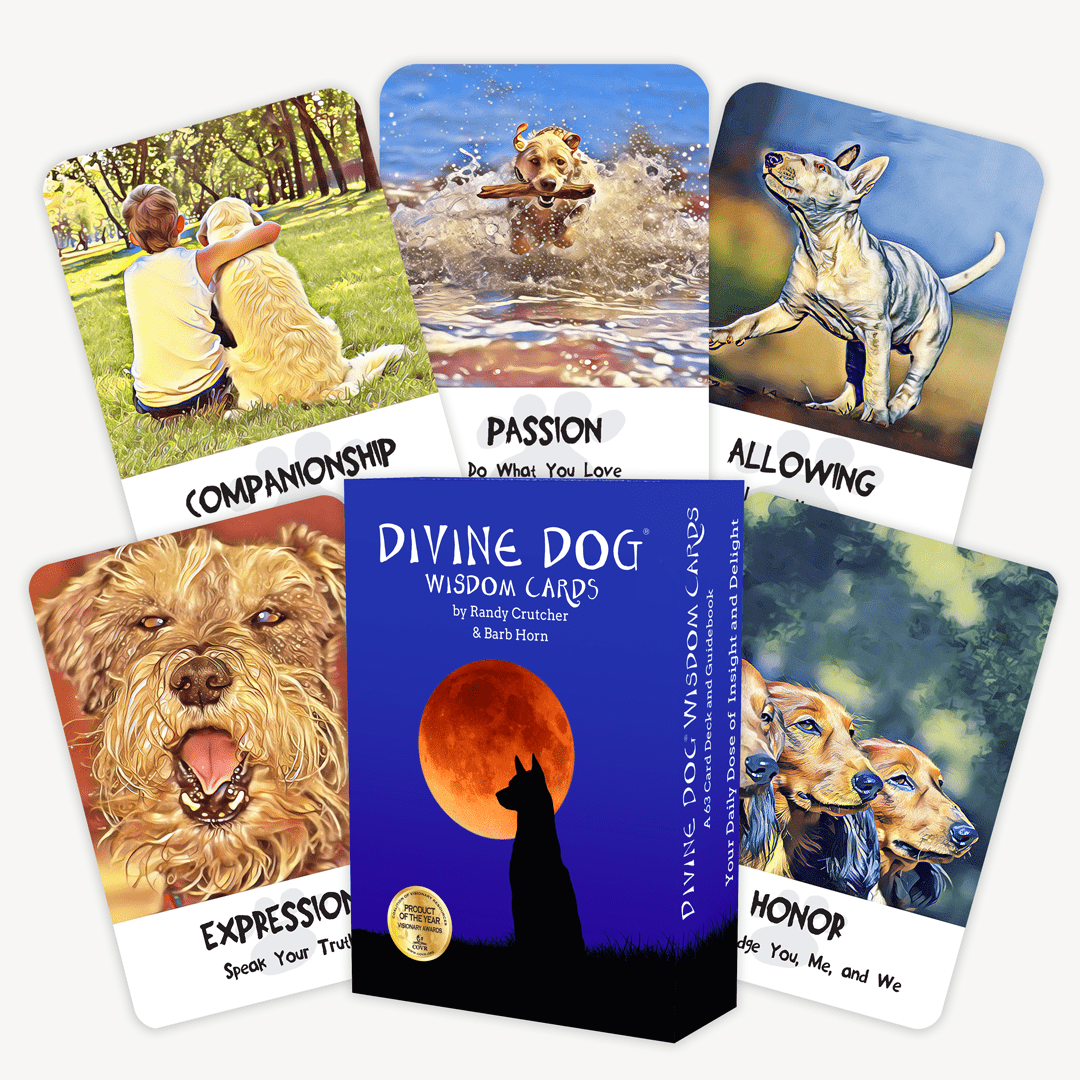 Pick a Card for your Dog