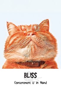 Cat Card Prayer: Bliss