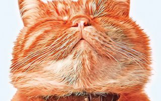 Cat Card Prayer: Bliss